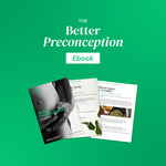 Better Preconception Ebook
